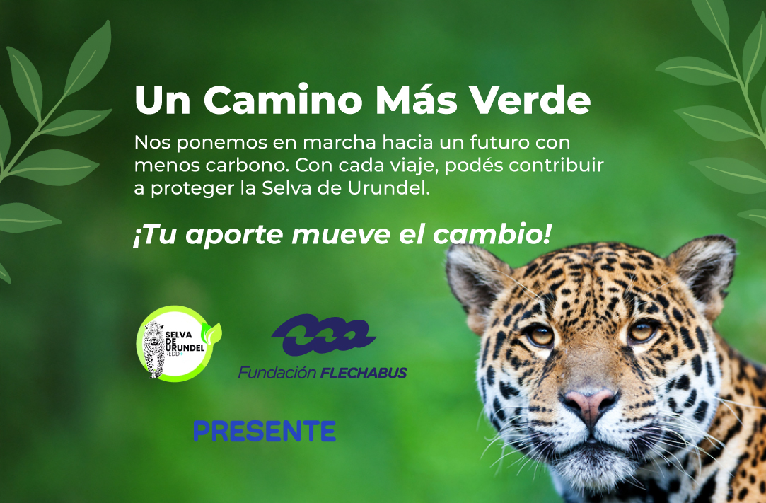 Descripción imagen móvil